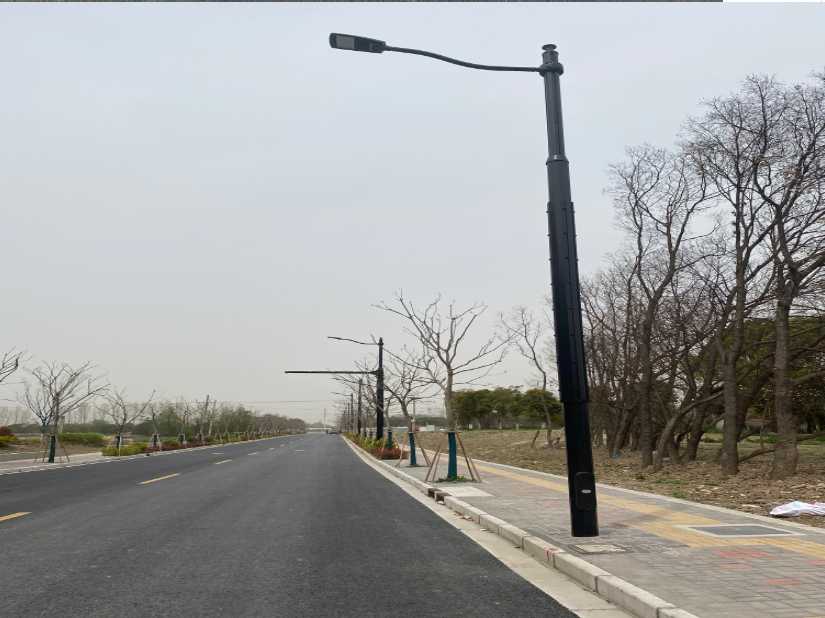 仙桃市上海综合杆 太阳能路灯工程